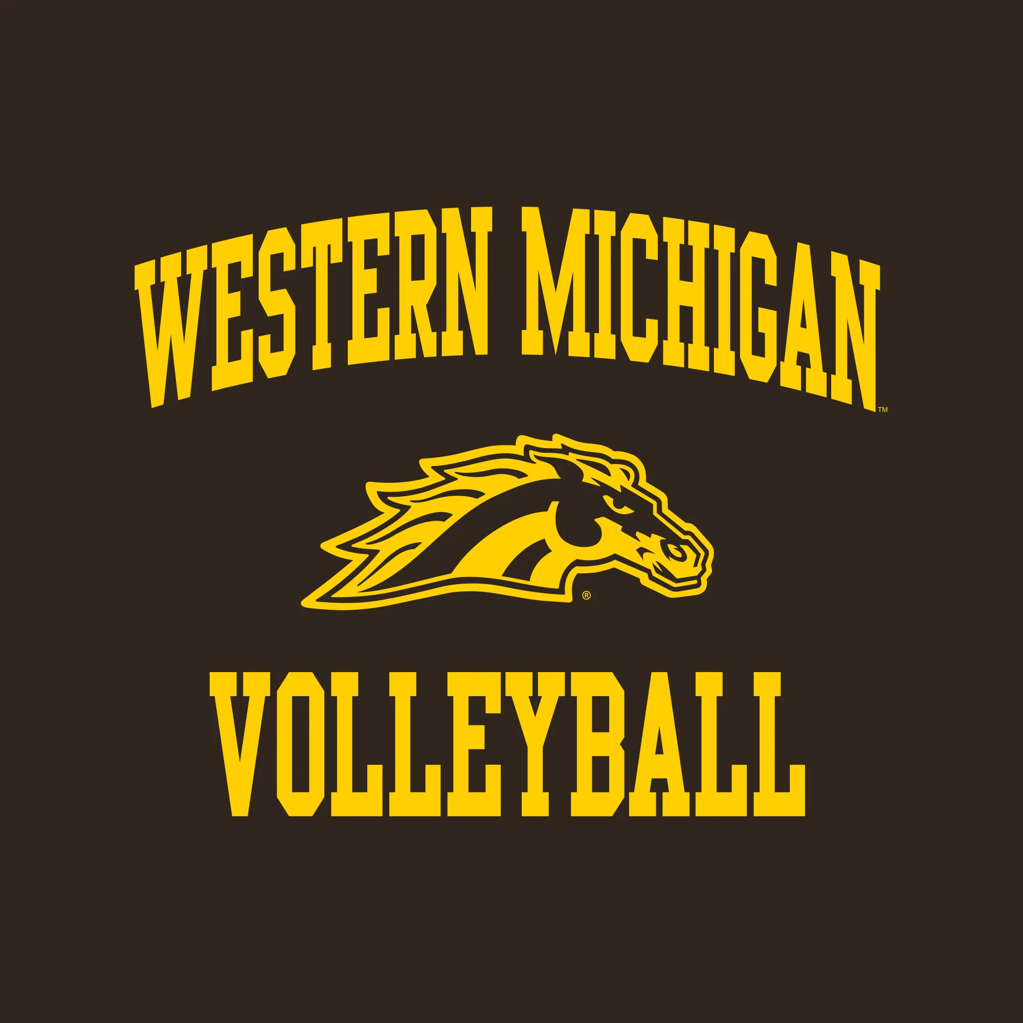 Western Michigan Arch Logo Volleyball T-Shirt - Dark Chocolate - Image 2