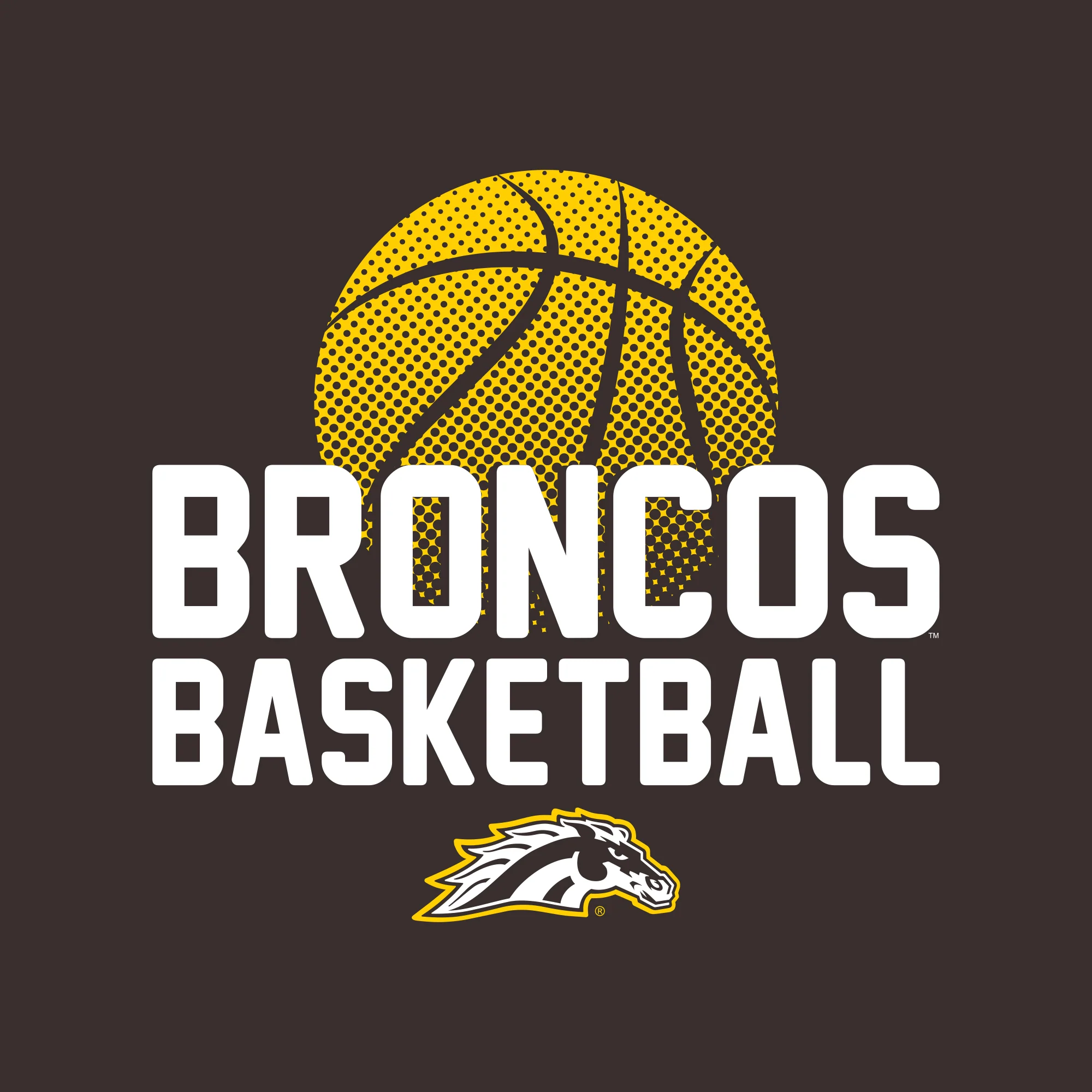 Western Michigan Basketball Flux Youth T Shirt - Dark Chocolate - Image 2