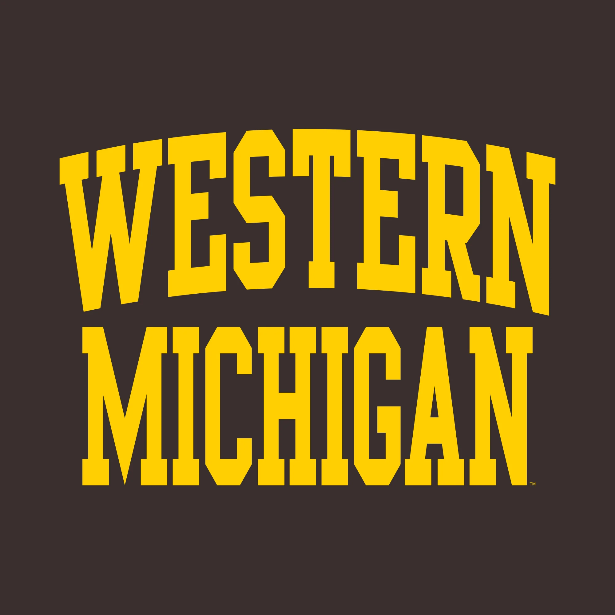 Western Michigan Front Back Print T-Shirt - Dark Chocolate - Image 2