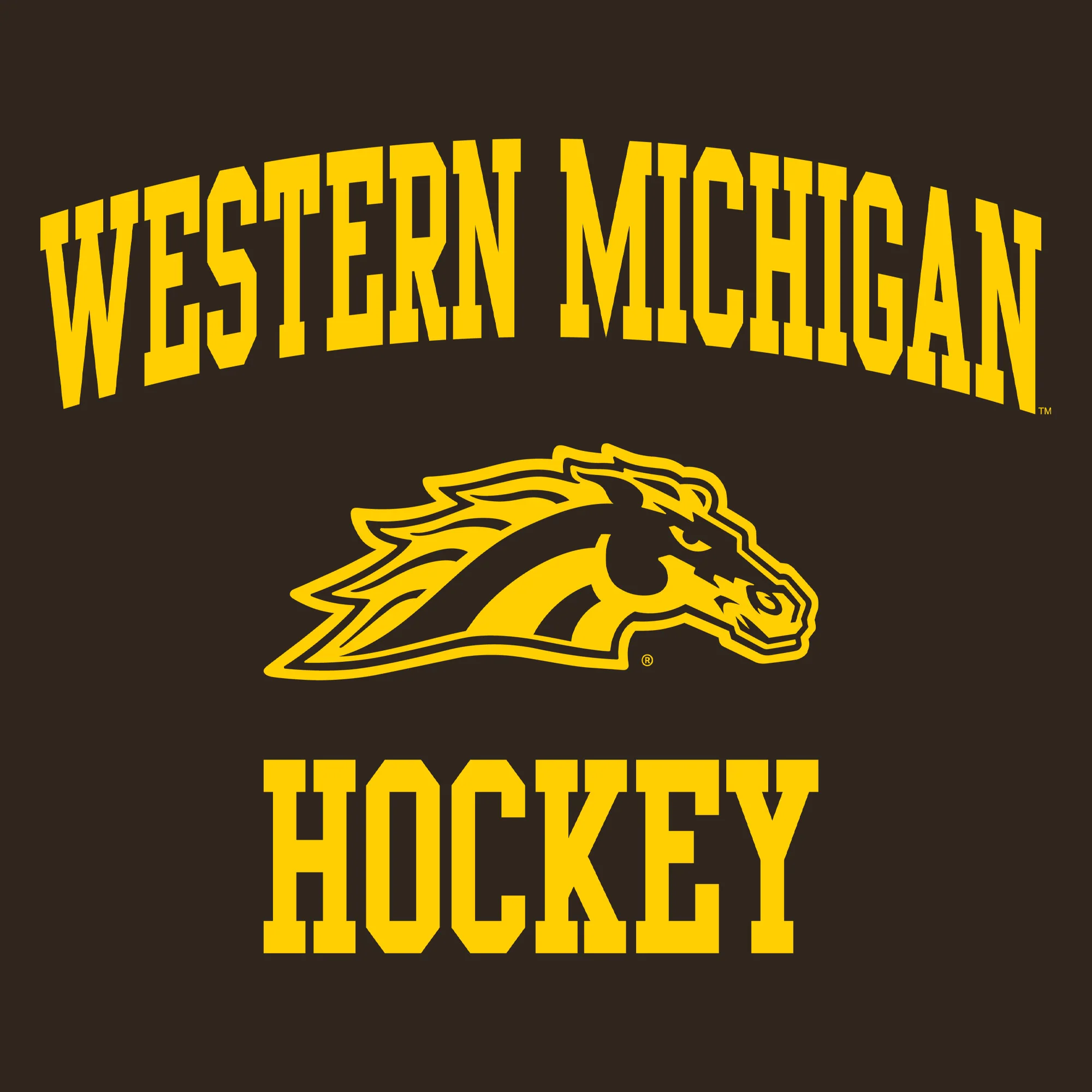 Western Michigan University Broncos Arch Logo Hockey Hooded Sweatshirt - Dark Chocolate - Image 2