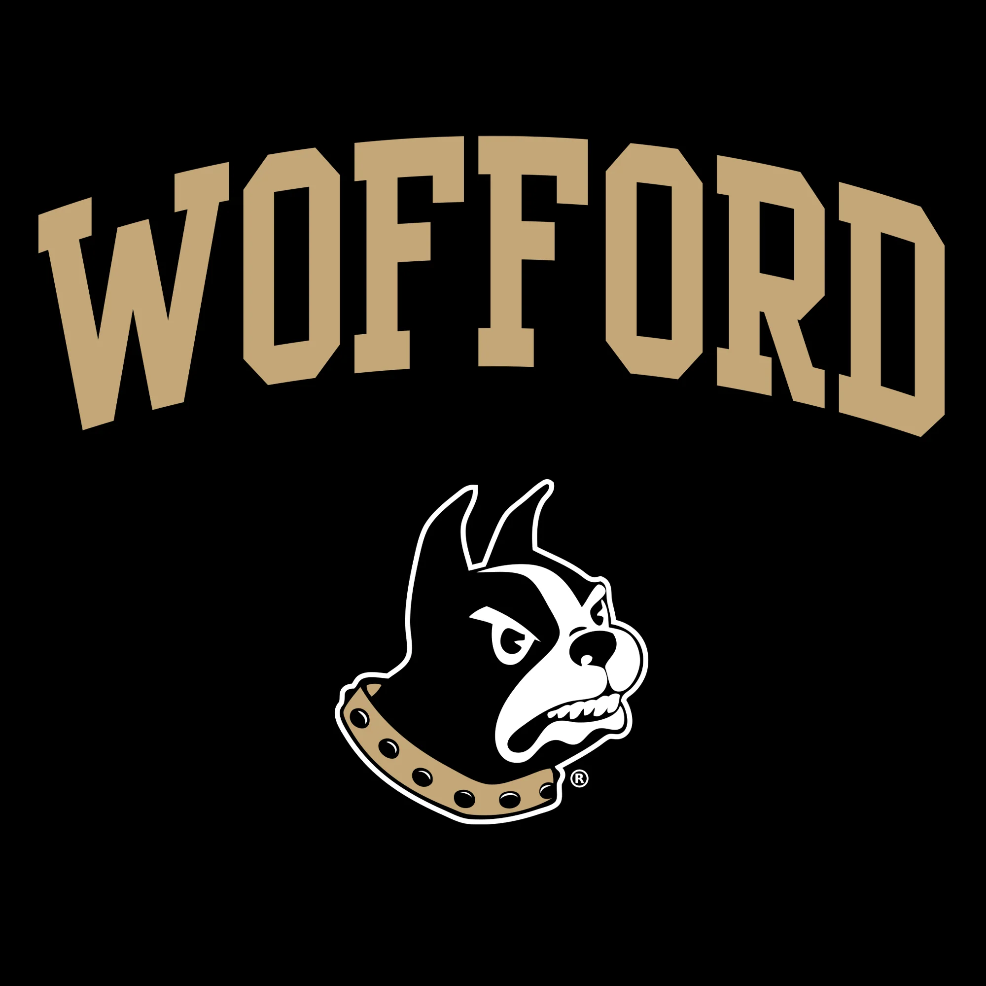 Wofford College Terriers Arch Logo Tank Top - Black - Image 2