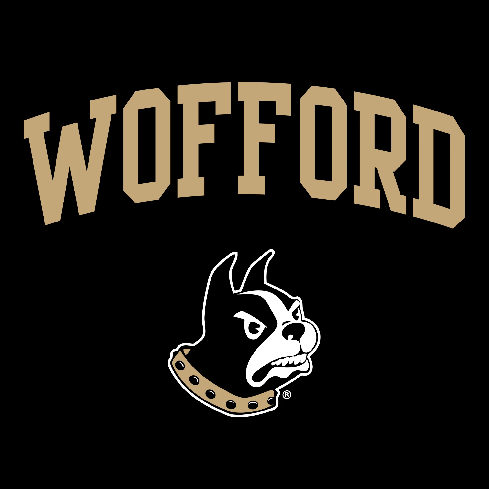 Wofford College Terriers Arch Logo Youth T Shirt - Black - Image 2