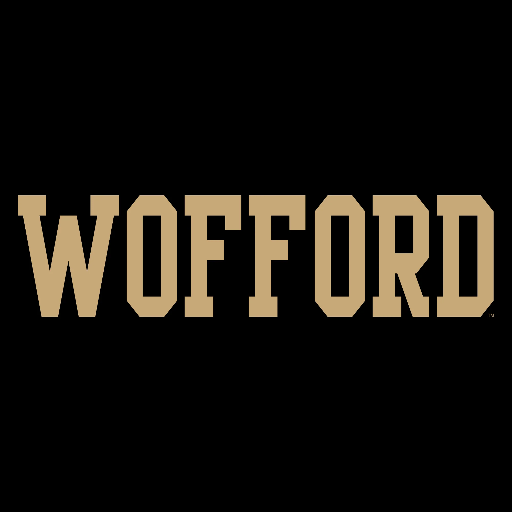 Wofford College Terriers Basic Block Youth T Shirt - Black - Image 2