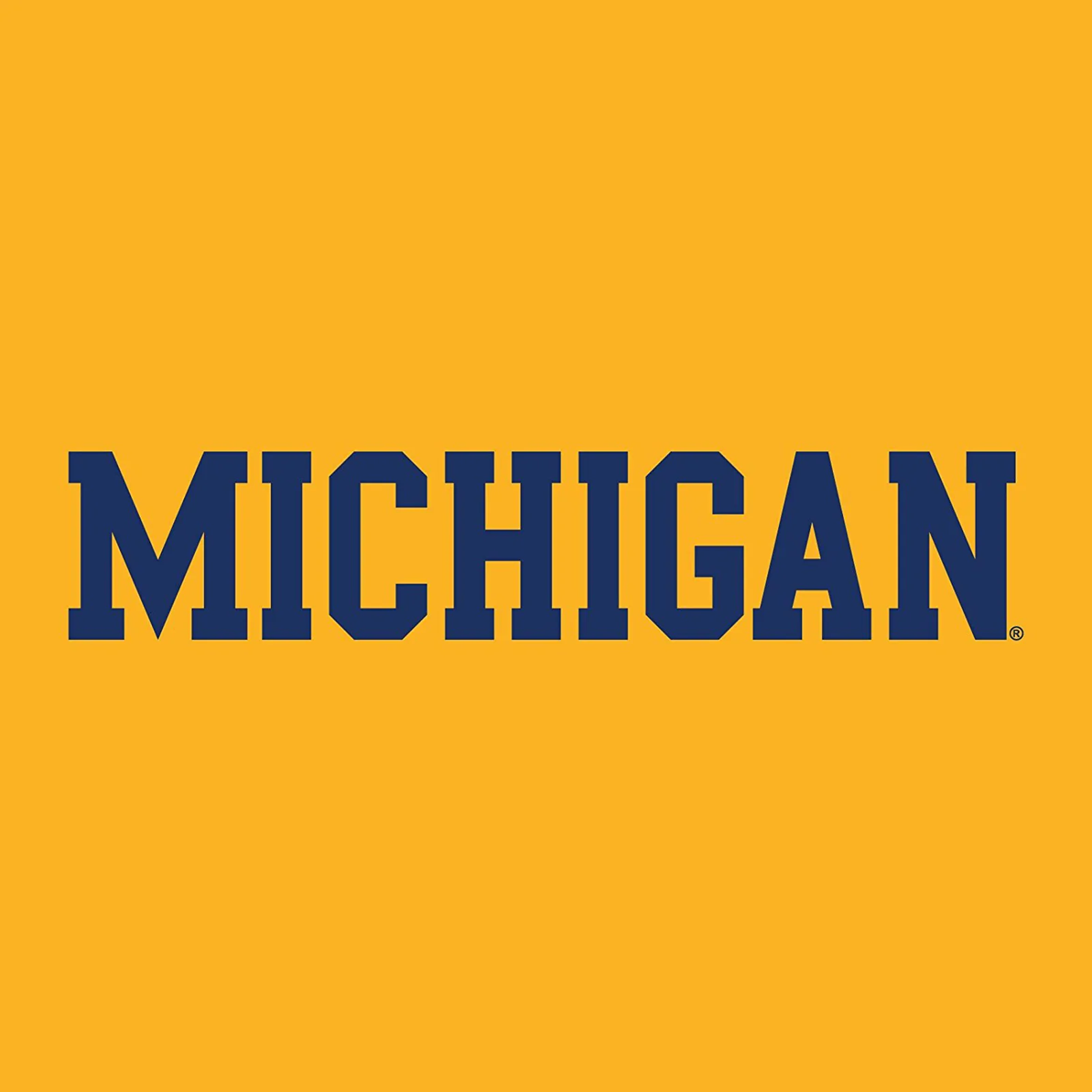 Michigan Wolverines Basic Block Youth Long Sleeve Shirt - Gold - Image 2