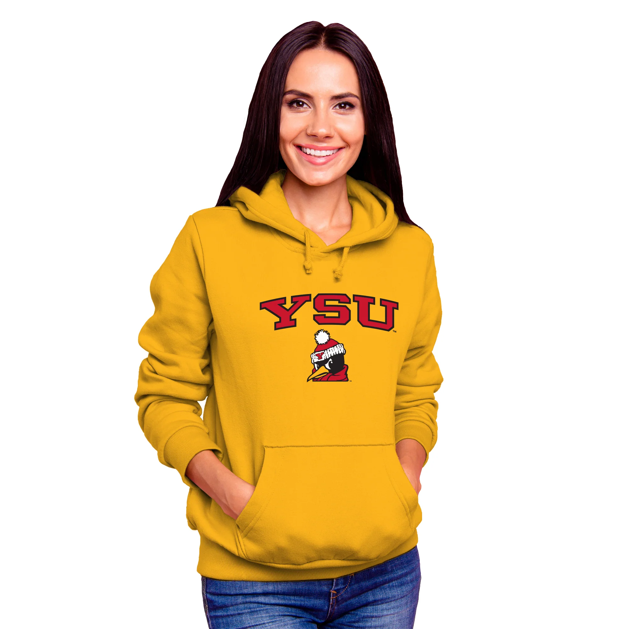 Youngstown Penguins Arch Logo Hoodie - Image 3