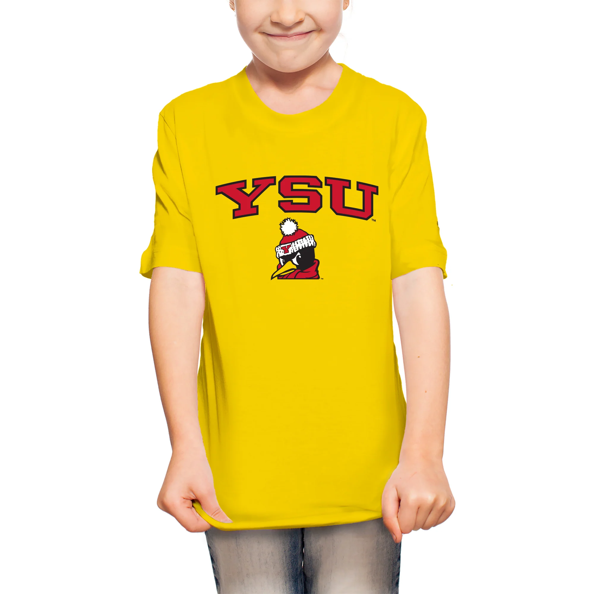 Youngstown Penguins Arch Logo Youth T-Shirt - Image 4
