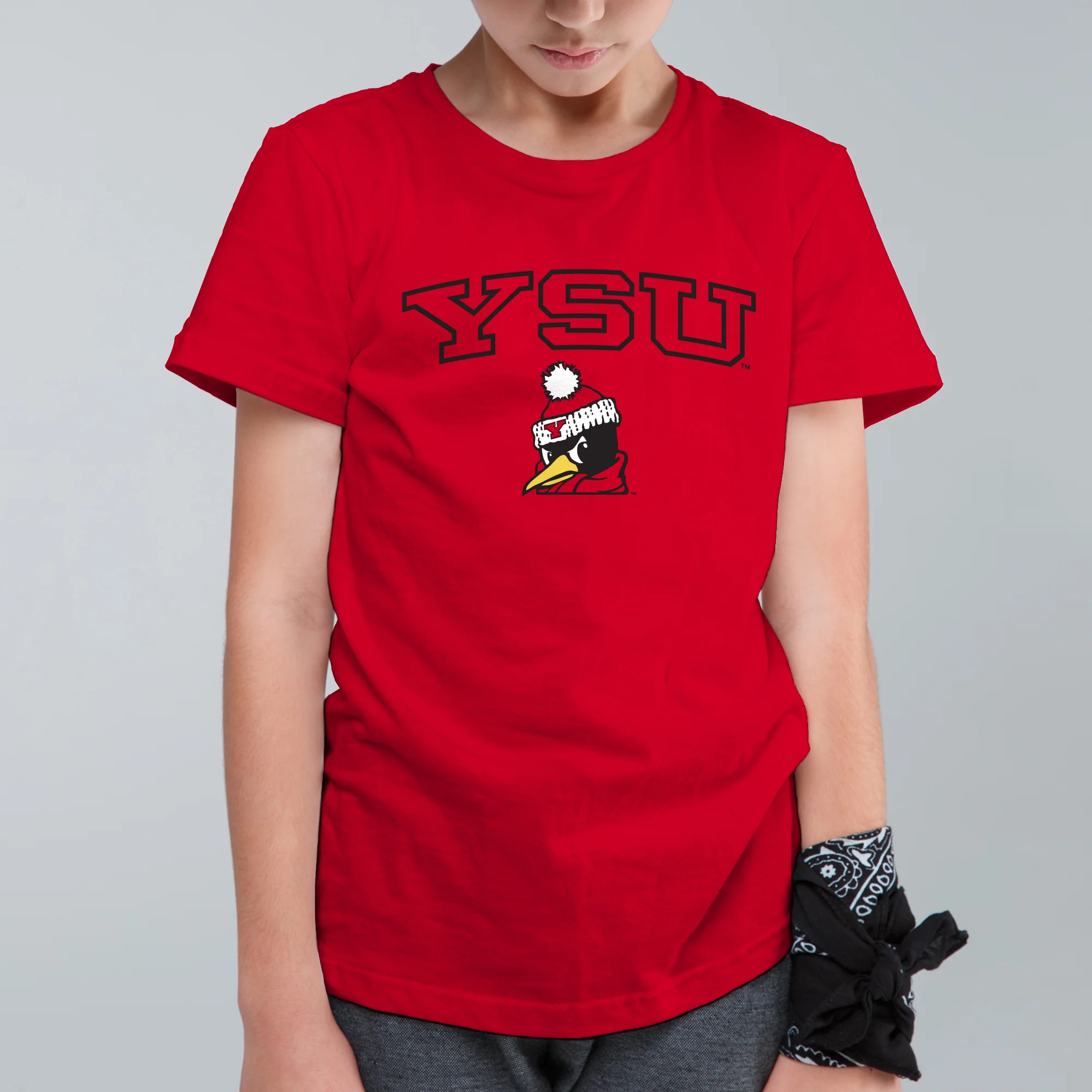 Youngstown Penguins Arch Logo Youth T-Shirt - Image 5