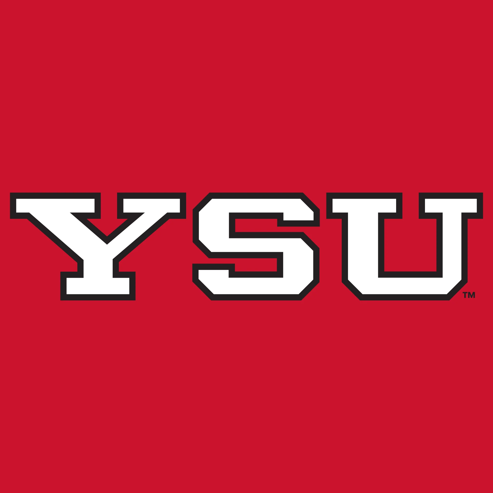 Youngstown Penguins Basic Block Tank Top - Red - Image 2
