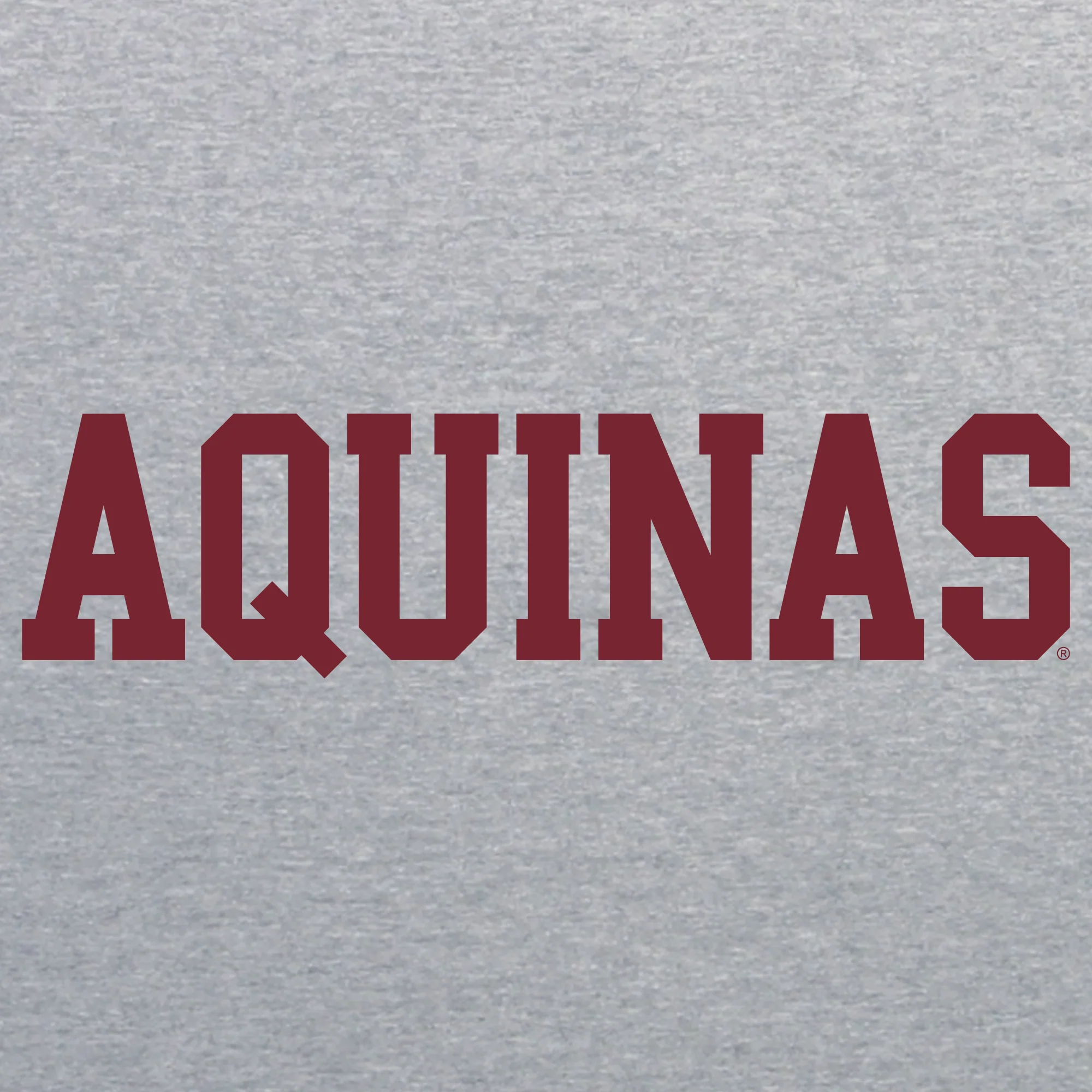 Aquinas Saints Basic Block Youth T Shirt - Sport Grey - Image 2
